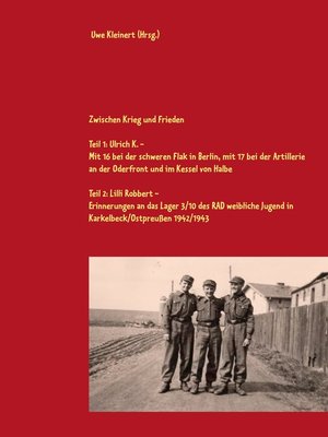 cover image of Zwischen Krieg und Frieden
